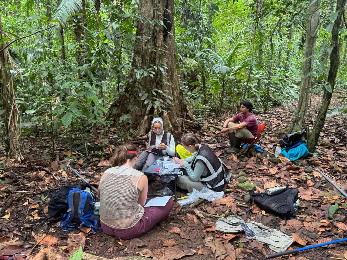 Frog studies in Panama