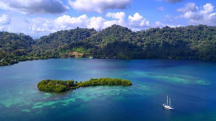 Rainforest meeting Caribbean water